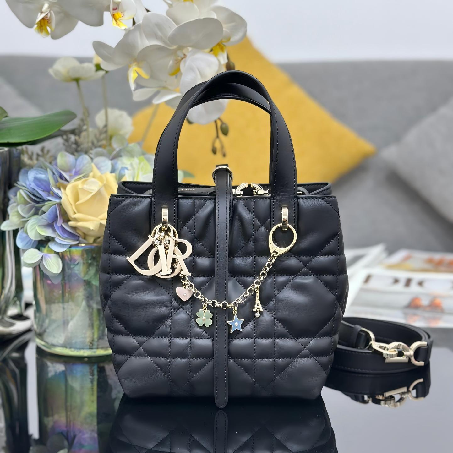 Dior Toujours Mini Bucket